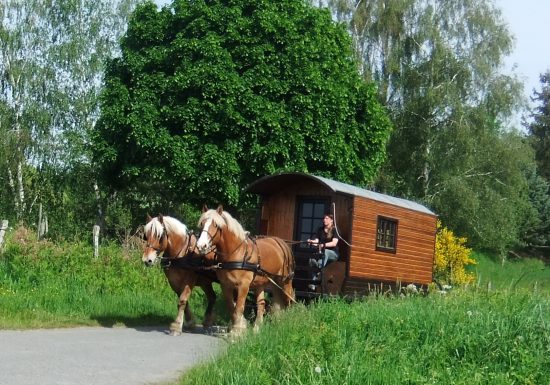 Séjour itinérant en roulotte avec 2 chevaux